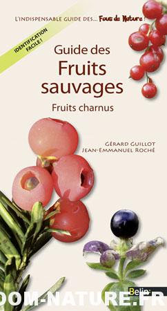 Guide des fruits sauvages : Fruits charnus