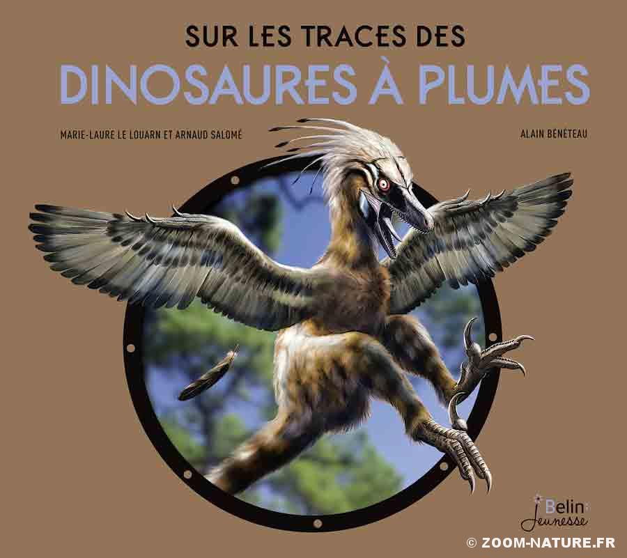 Sur les traces des dinosaures à plumes