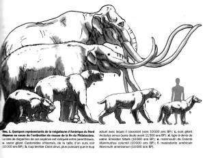 megafaune-am-nord